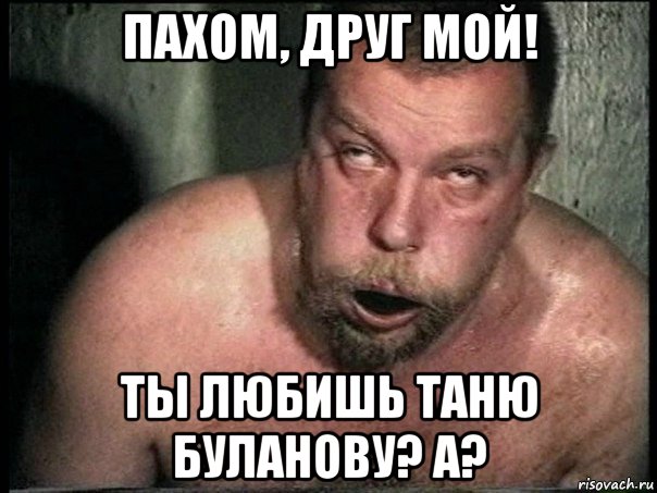 пахом, друг мой! ты любишь таню буланову? а?