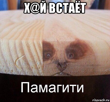 х@й встаёт , Мем   Памагити