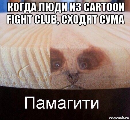 когда люди из cartoon fight club, сходят сума , Мем   Памагити