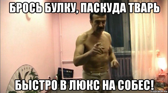 брось булку, паскуда тварь быстро в люкс на собес!