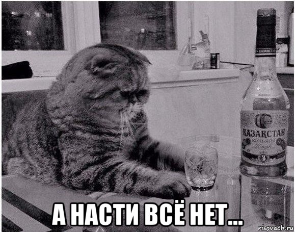  а насти всё нет...