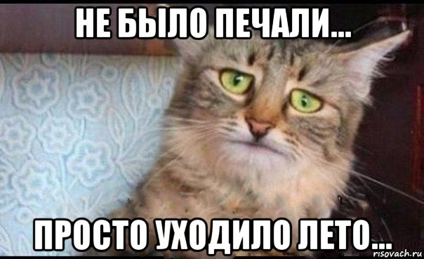 не было печали... просто уходило лето...