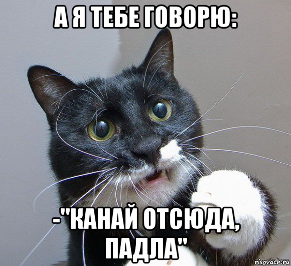 а я тебе говорю: -"канай отсюда, падла"