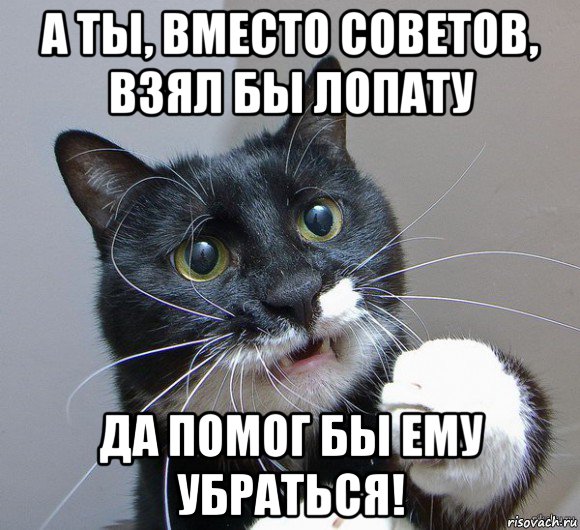 а ты, вместо советов, взял бы лопату да помог бы ему убраться!