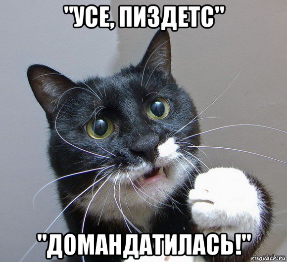 "усе, пиздетс" "домандатилась!"