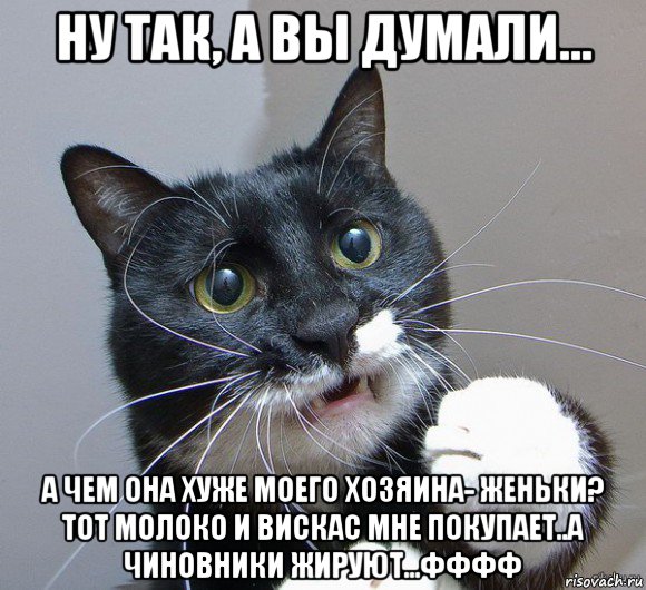 ну так, а вы думали... а чем она хуже моего хозяина- женьки? тот молоко и вискас мне покупает..а чиновники жируют...фффф