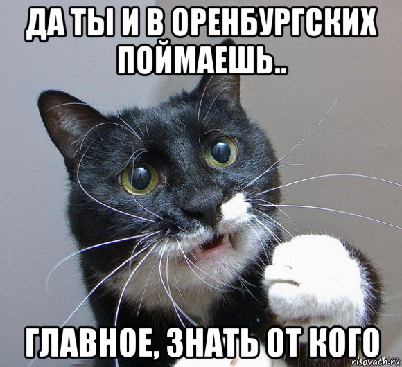 да ты и в оренбургских поймаешь.. главное, знать от кого