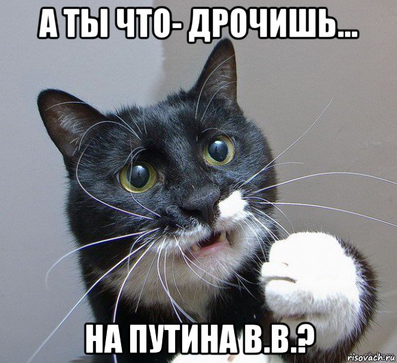 а ты что- дрочишь... на путина в.в.?