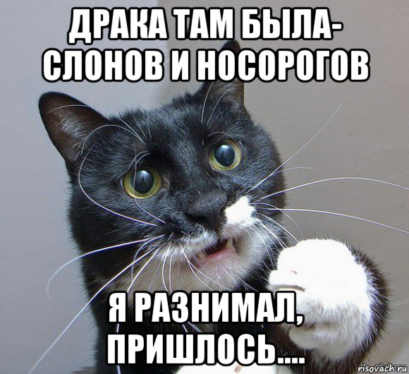 драка там была- слонов и носорогов я разнимал, пришлось....