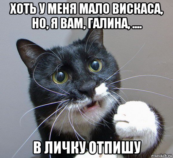 хоть у меня мало вискаса, но, я вам, галина, .... в личку отпишу