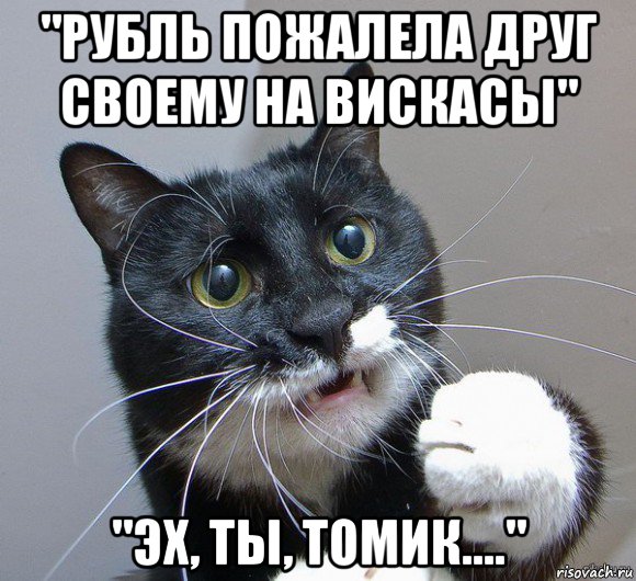 "рубль пожалела друг своему на вискасы" "эх, ты, томик...."