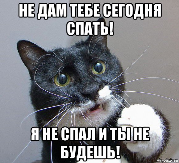 не дам тебе сегодня спать! я не спал и ты не будешь!