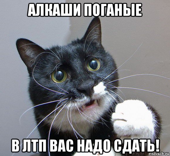 алкаши поганые в лтп вас надо сдать!