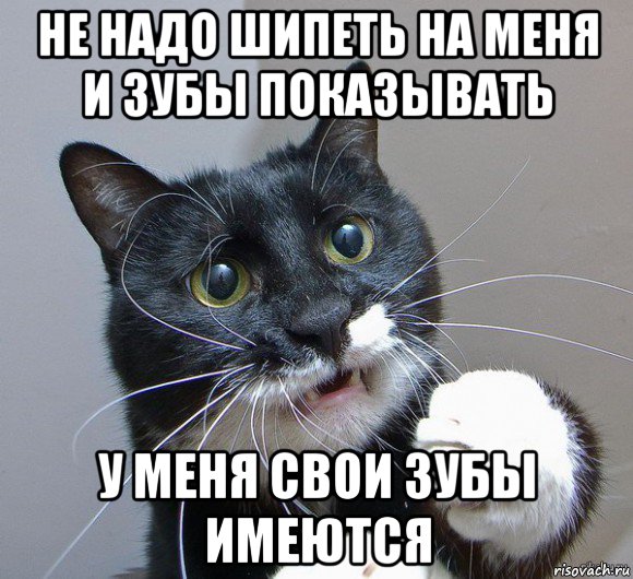 не надо шипеть на меня и зубы показывать у меня свои зубы имеются