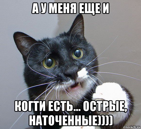 а у меня еще и когти есть... острые, наточенные))))