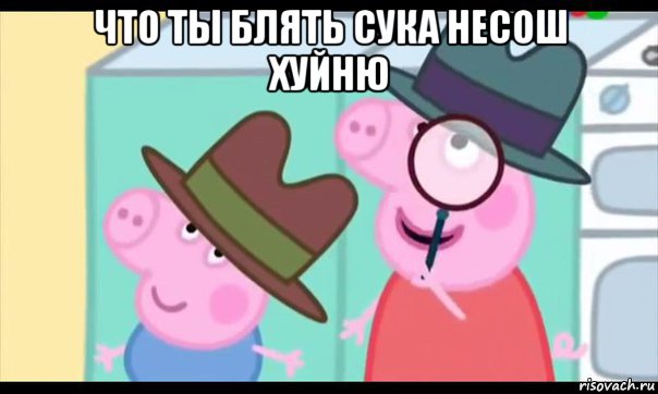 что ты блять сука несош хуйню , Мем  Пеппа холмс