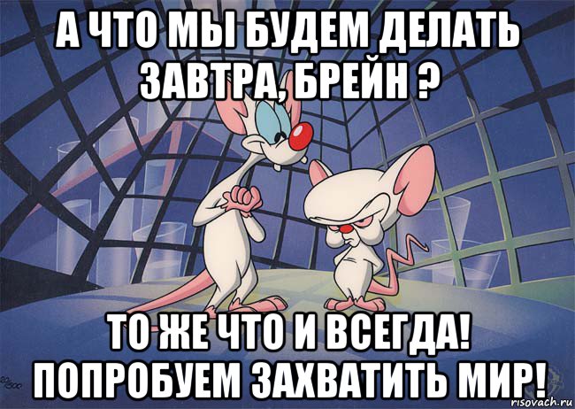 а что мы будем делать завтра, брейн ? то же что и всегда! попробуем захватить мир!, Мем ПИНКИ И БРЕЙН