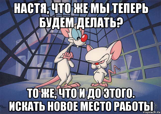 настя, что же мы теперь будем делать? то же, что и до этого. искать новое место работы, Мем ПИНКИ И БРЕЙН