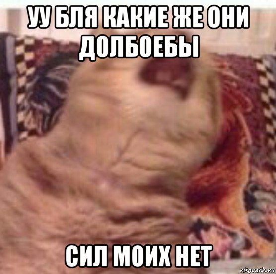 уу бля какие же они долбоебы сил моих нет, Мем Pisos