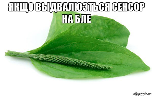 якщо выдвалюэться сенсор на бле 