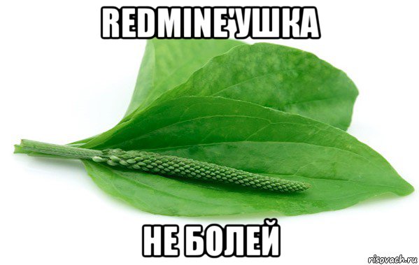 redmine'ушка не болей