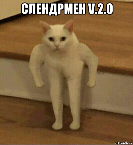 слендрмен v.2.0 , Мем  Полукот