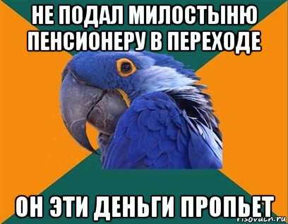 не подал милостыню пенсионеру в переходе он эти деньги пропьет, Мем Попугай параноик