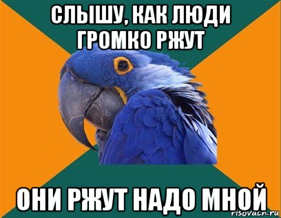 слышу, как люди громко ржут они ржут надо мной, Мем Попугай параноик