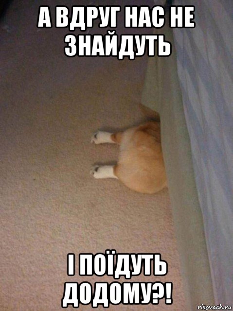 а вдруг нас не знайдуть і поїдуть додому?!
