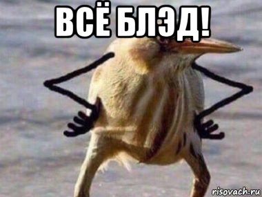 всё блэд! 