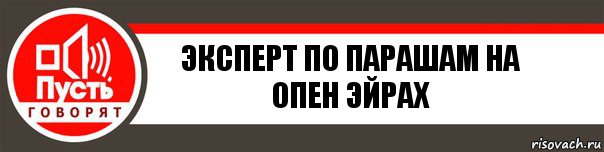 Эксперт по парашам на опен эйрах, Комикс   пусть говорят