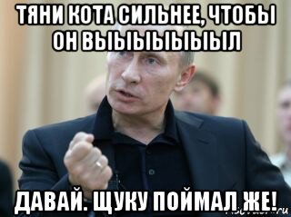 тяни кота сильнее, чтобы он выыыыыыыл давай. щуку поймал же!