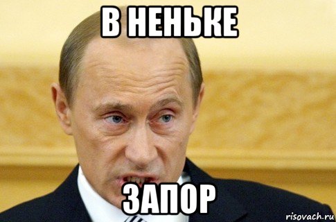 в неньке запор, Мем путин