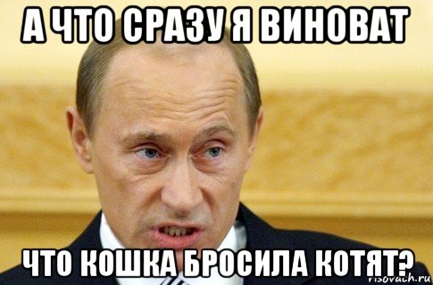 а что сразу я виноват что кошка бросила котят?, Мем путин