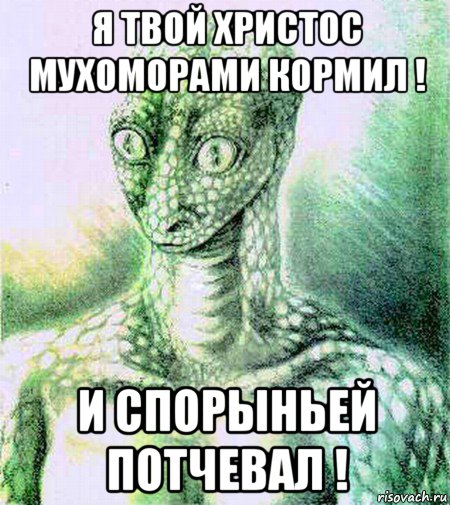 я твой христос мухоморами кормил ! и спорыньей потчевал !
