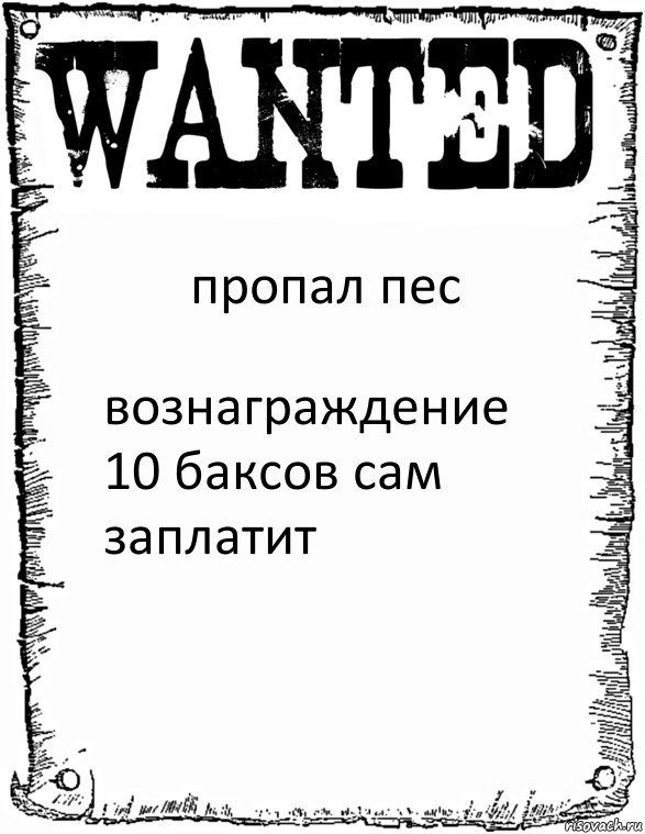 пропал пес вознаграждение 10 баксов сам заплатит, Комикс розыск