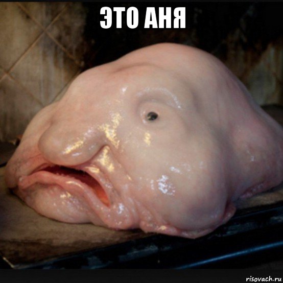 это аня 