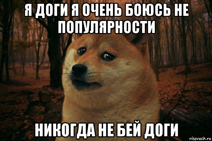 я доги я очень боюсь не популярности никогда не бей доги, Мем SAD DOGE