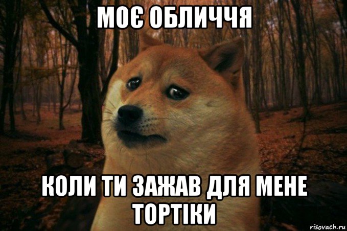 моє обличчя коли ти зажав для мене тортіки, Мем SAD DOGE