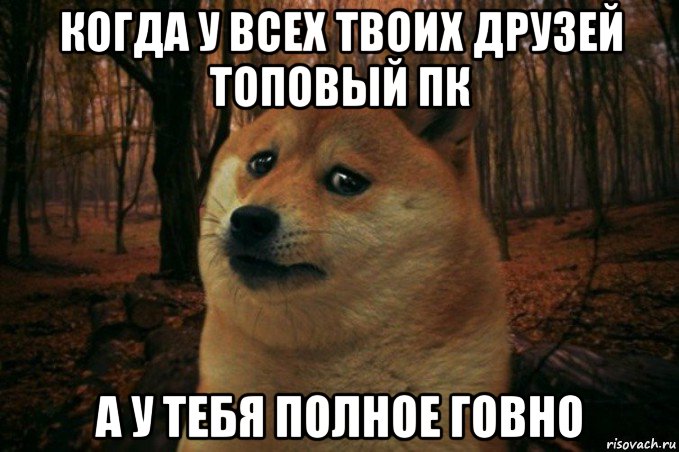 когда у всех твоих друзей топовый пк а у тебя полное говно, Мем SAD DOGE