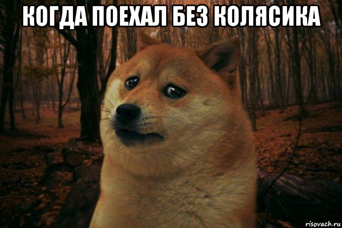 когда поехал без колясика , Мем SAD DOGE