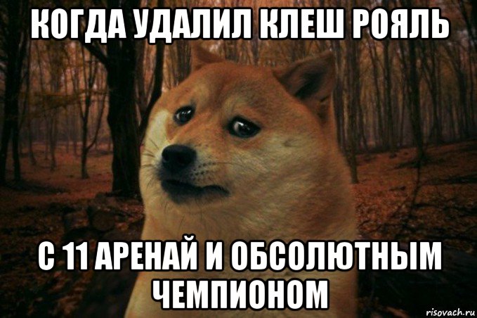 когда удалил клеш рояль с 11 аренай и обсолютным чемпионом, Мем SAD DOGE