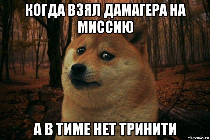 когда взял дамагера на миссию а в тиме нет тринити, Мем SAD DOGE