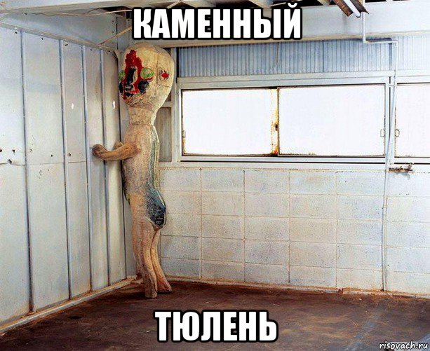 каменный тюлень