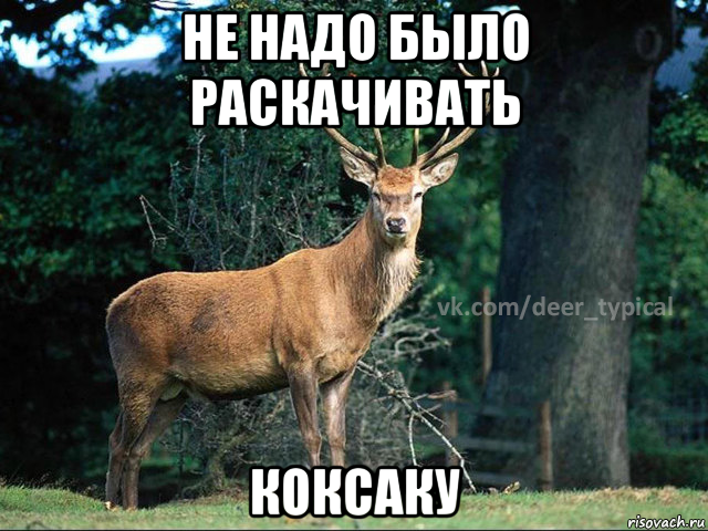 не надо было раскачивать коксаку