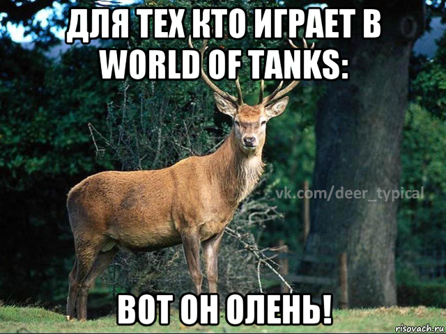 для тех кто играет в world of tanks: вот он олень!, Мем Паблик Типичный олень