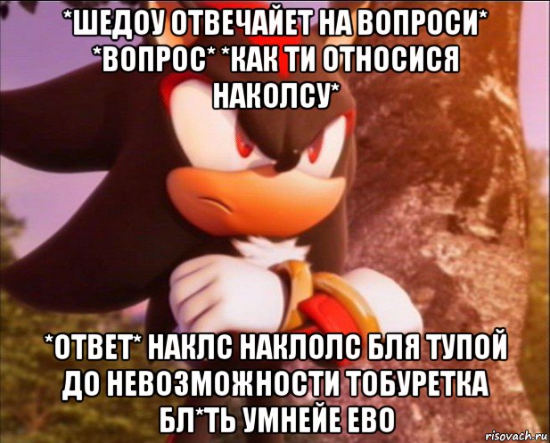*шедоу отвечайет на вопроси* *вопрос* *как ти относися наколсу* *ответ* наклс наклолс бля тупой до невозможности тобуретка бл*ть умнейе ево
