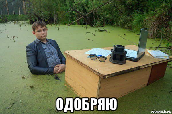  одобряю
