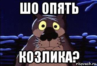 шо опять козлика?