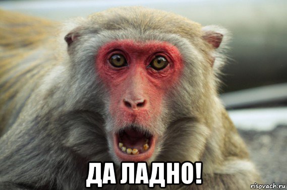  да ладно!, Мем Шварц негр